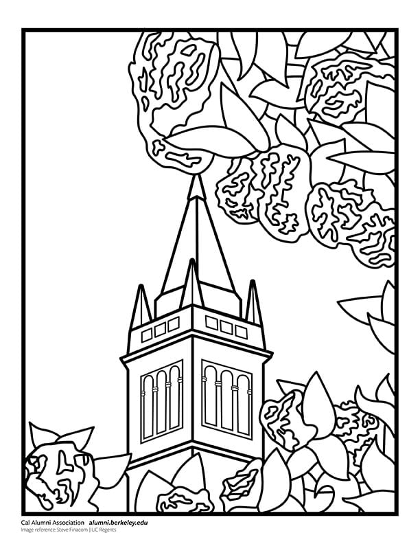 15 Social Justice Coloring Pages Printable Coloring Pages