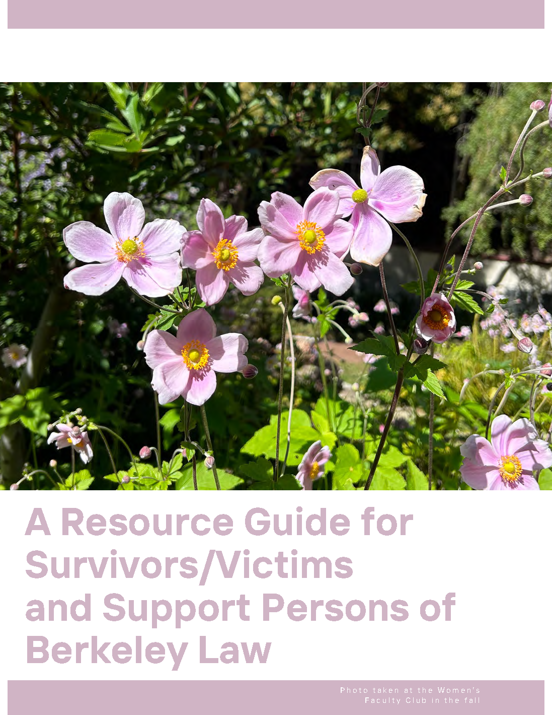 A photo of pink flowers taken at the Women's Faculty Club. Pink text reads: A Resource Guide for Survivors/Victims and Support Persons of Berkeley Law. Links to PDF of guide. 