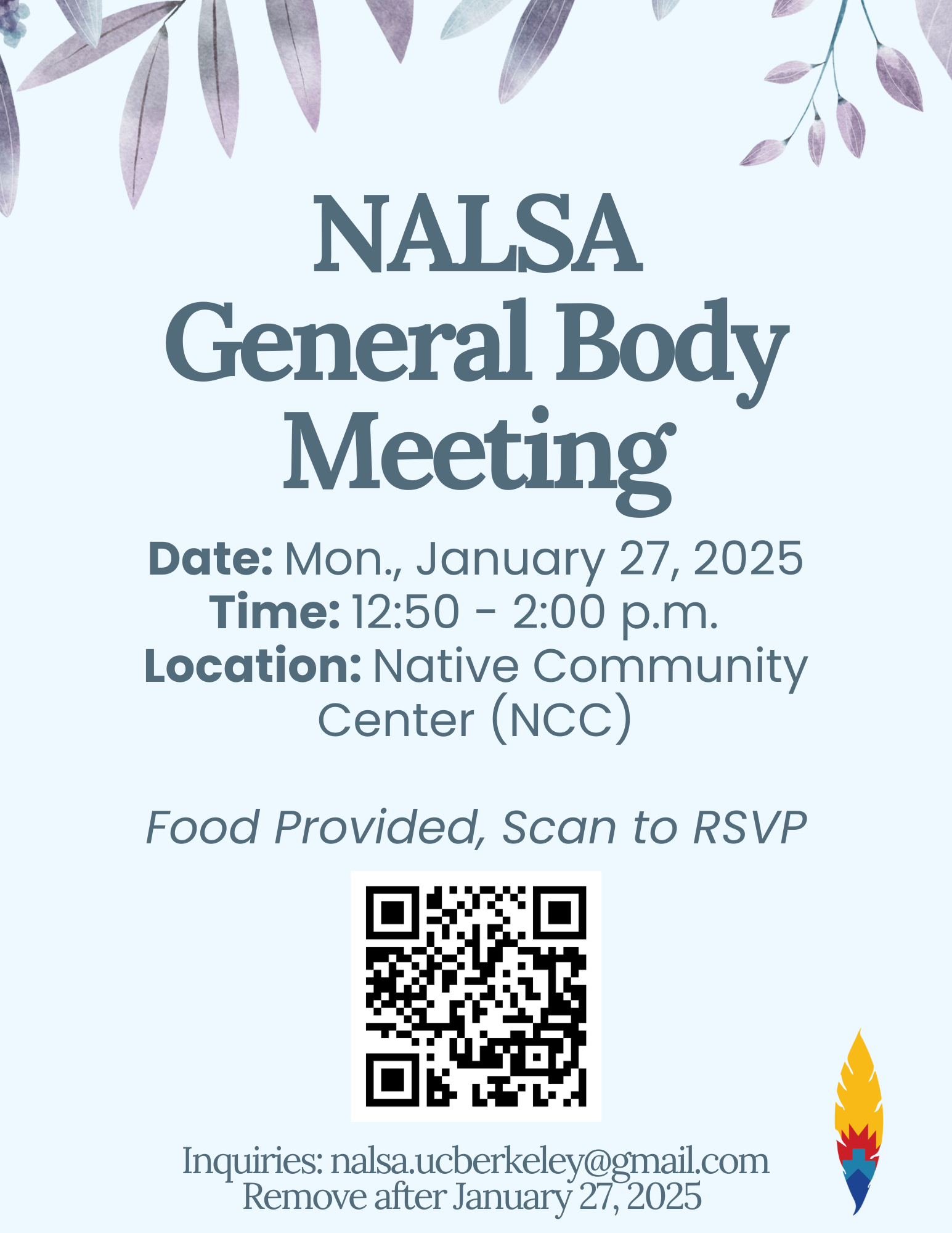 NALSA flyer