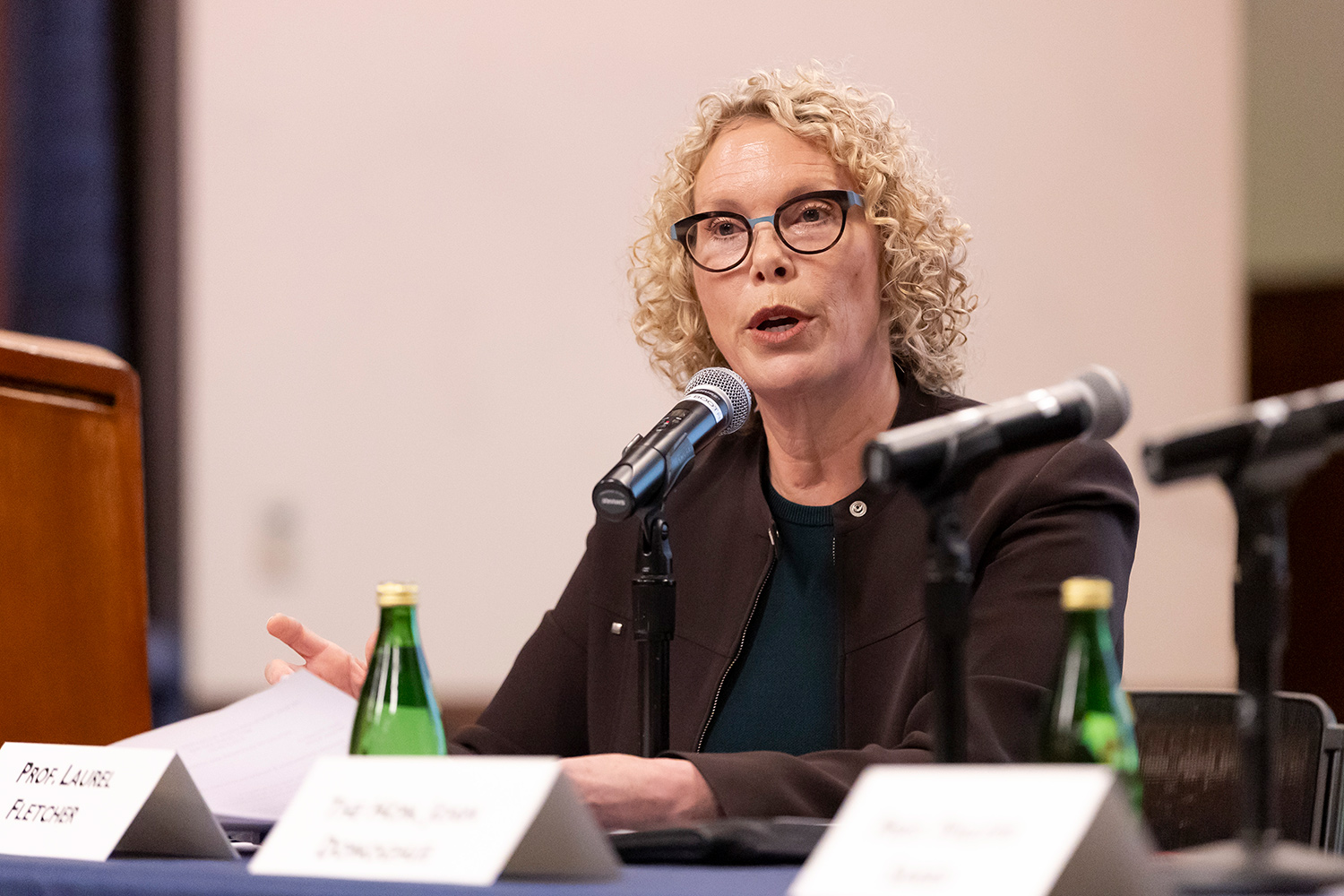 Laurel E. Fletcher presenting on a panel